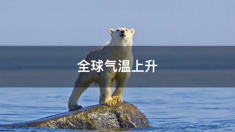 螞蟻商聯(lián)攜手金好來(lái)超市發(fā)起“以竹代木，翠我山河”植樹節(jié)活動(dòng)，從改變生活習(xí)慣開始！喊你為公益接力~